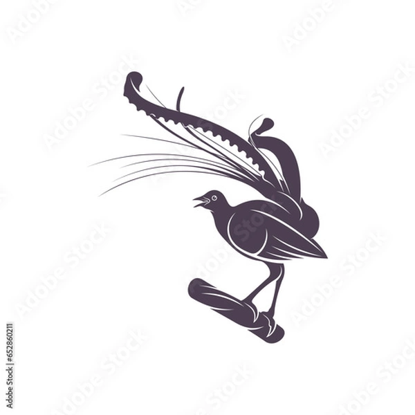 Obraz Lyrebird vector illustration design. Lyrebird Silhouette. Lyrebird design template.