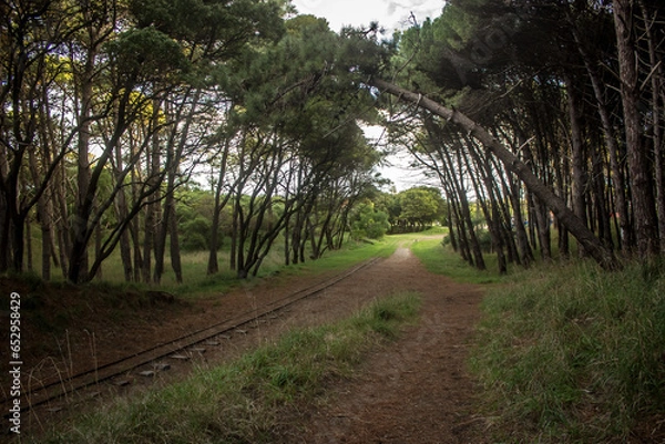 Fototapeta parque sol y nubes
