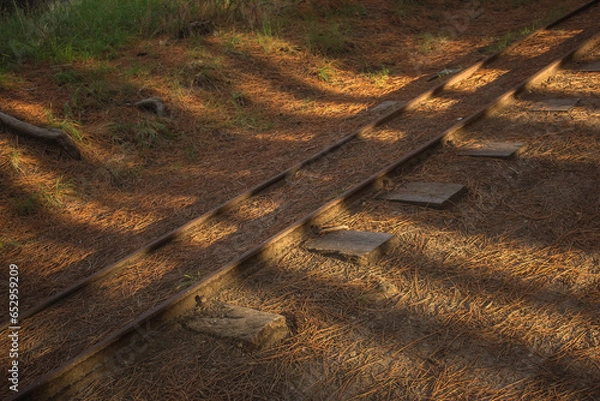 Fototapeta parque sol y nubes