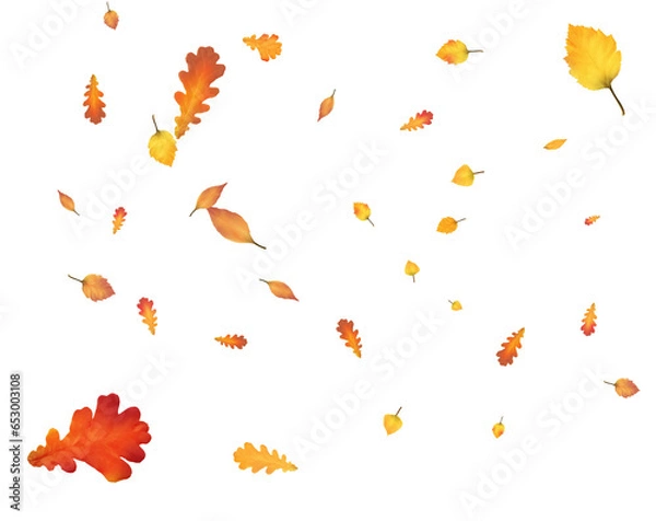 Fototapeta Many autumn leaves are swirling in the wind.