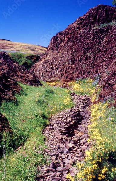 Obraz dry creek