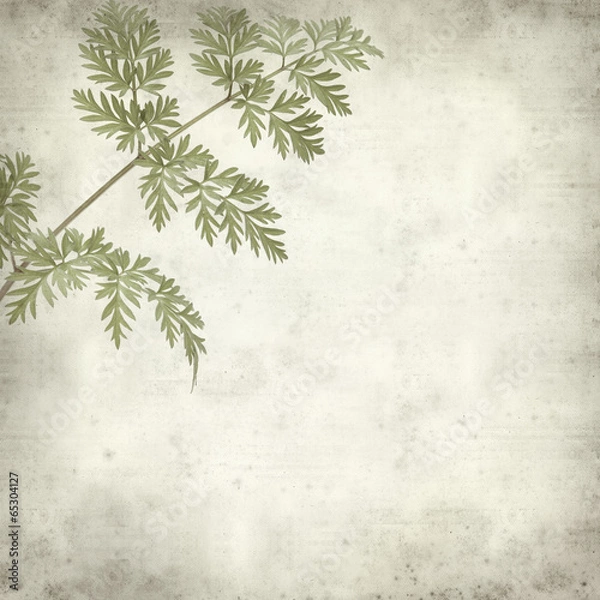 Fototapeta textured old paper background