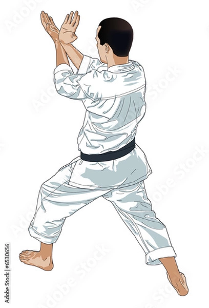 Obraz Karaté illustration