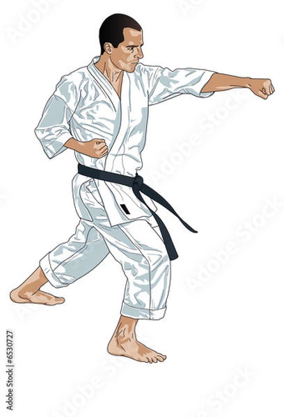 Obraz Ilustracja Karate