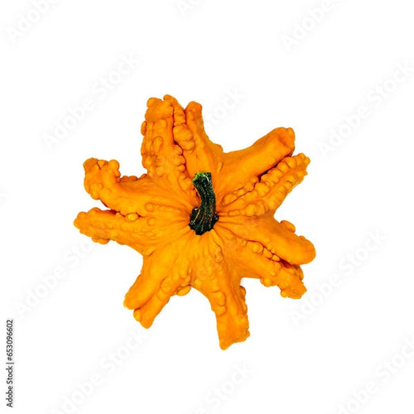 Obraz Decorative pumpkins on a white background. Suitable for pasting into a Halloween promotional banner.