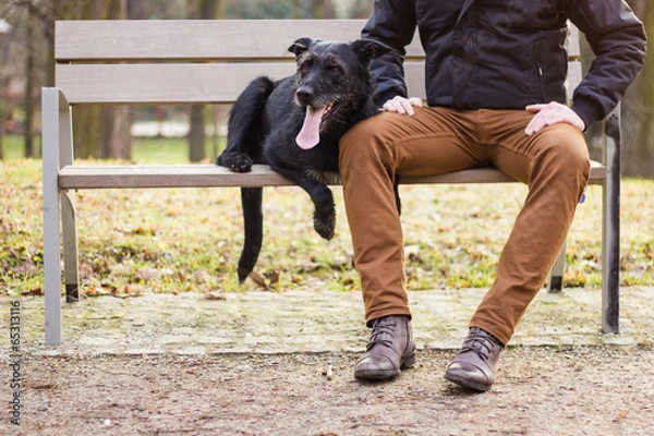 Obraz Best friends: Young man sitting with his dog on a bench