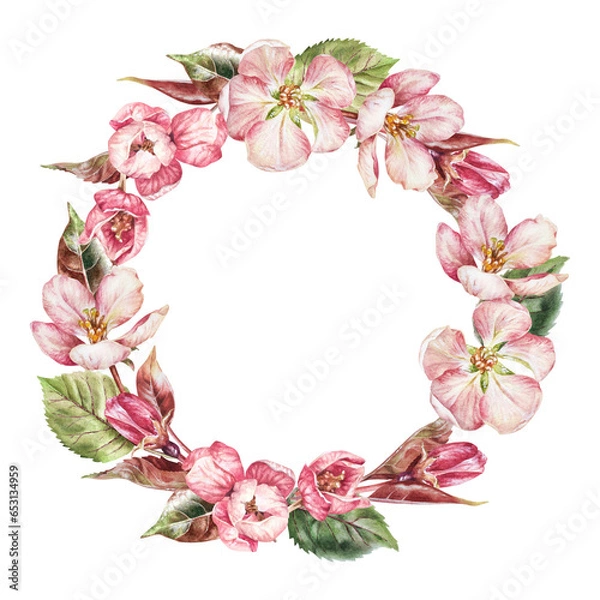 Obraz Wreath of pink Flowers. Watercolor botanical  of sakura. Hand drawn Floral  border on isolated background. Round template of cherry blossom for greeting cards and wedding invitations