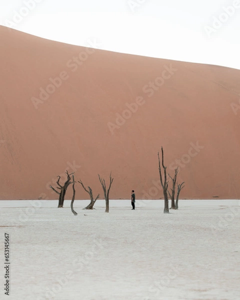 Obraz dead trees in the desert, deadvlei, namibia