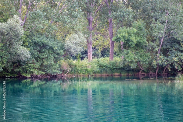Obraz lake in the forest