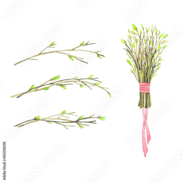 Obraz Watercolor spring, young blossoming cherry branches on a white background.Bouquet with young branches and ribbons.