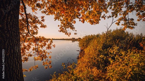 Fototapeta View of the river from under the red-orange foliage of the autumn forest. Landscape of the Pripyat River, which flows into the Dnieper in Ukraine. In photo wallpaper format for TV or monitor