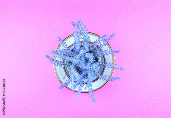 Obraz Lavender on a violet background.