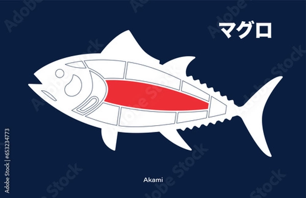 Obraz Akami, Tuna japanese Cuts diagram on blue background.