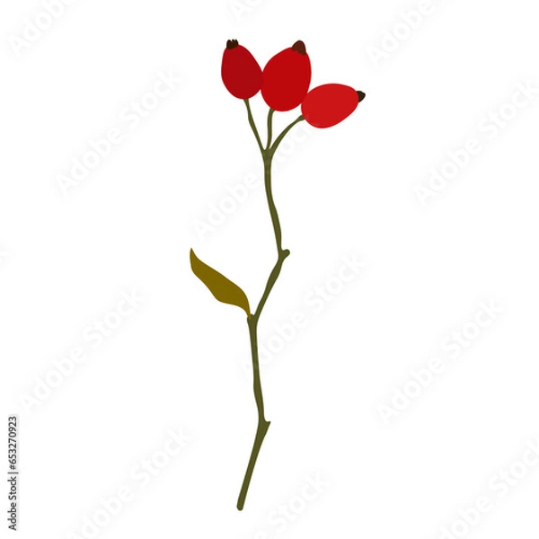 Fototapeta Abstract branch with leaves and red rose hips, element on isolated white background in flat cartoon style. For design, decoration, object.	
