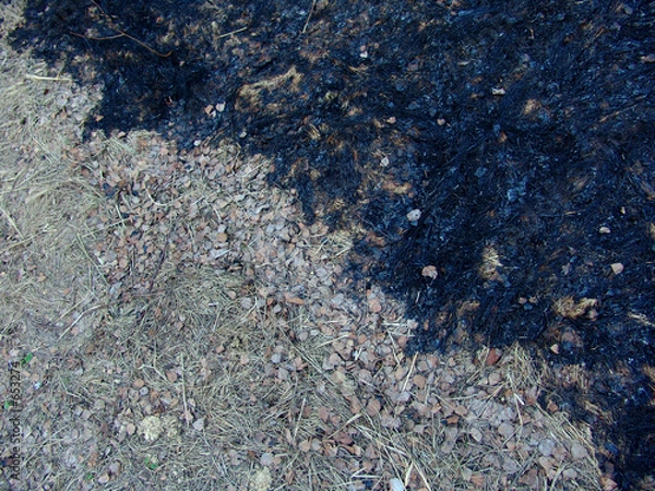 Fototapeta half burned 2