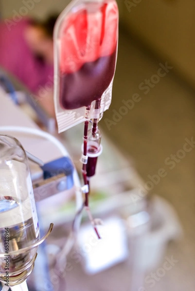 Obraz Transfusion