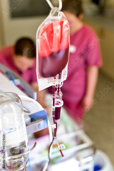 Obraz Transfusion