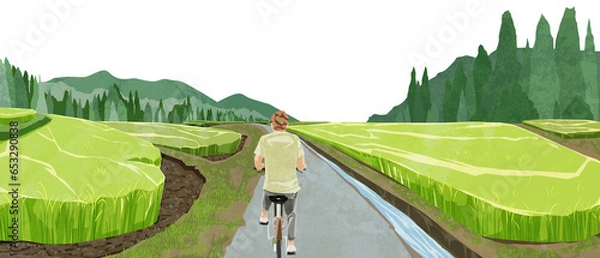 Fototapeta 日本の夏の水田原風景手描き水彩風イラスト