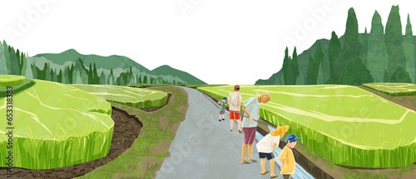 Fototapeta 日本の夏の水田原風景手描き水彩風イラスト