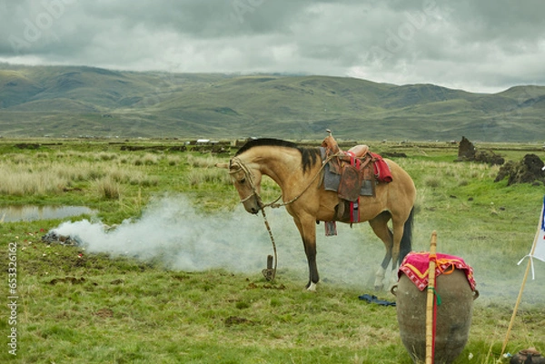 Fototapeta Caballo Carnaval