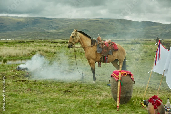 Fototapeta Caballo Carnaval
