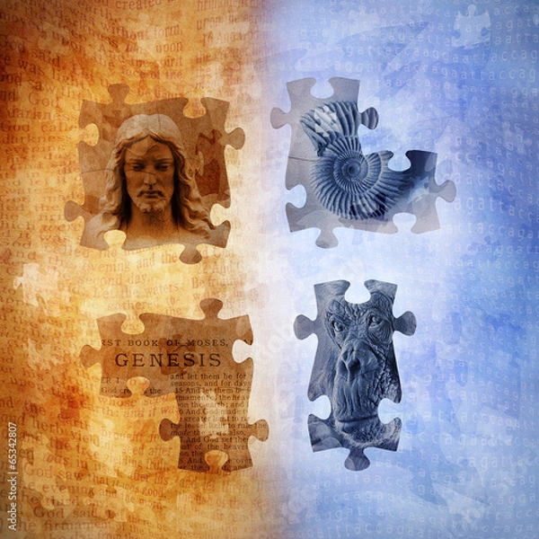 Obraz Evolution and Creationism