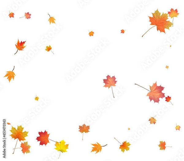 Fototapeta Red, orange, brown and yellow autumn leaves.
