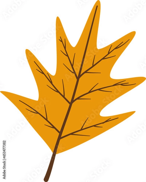 Fototapeta Single Golden Autumn Leaf Illustration