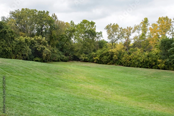 Obraz Empty Rolling Grassland Surrounded by Trees with Cloudy Sky