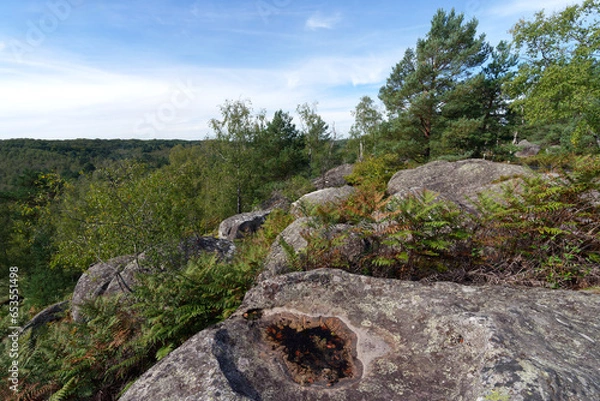 Fototapeta Point of view in the Gorges of Apremont. Fontainebleau forest