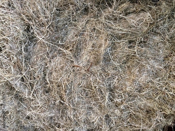 Obraz hay bale background