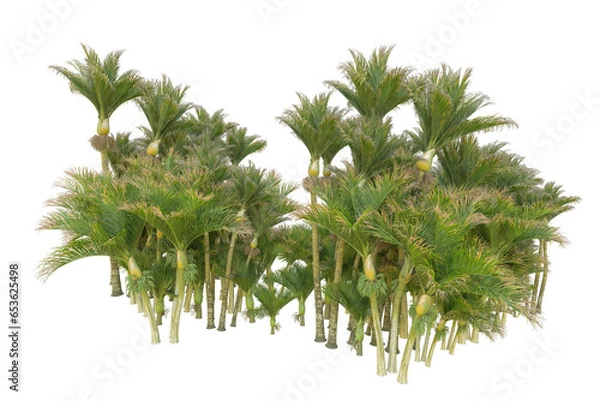 Obraz Tropical landscape isolated on transparent background. 3d rendering - illustration
