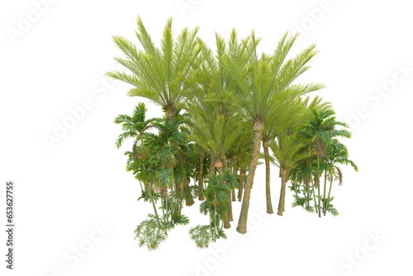 Obraz Tropical forest isolated on transparent background. 3d rendering - illustration