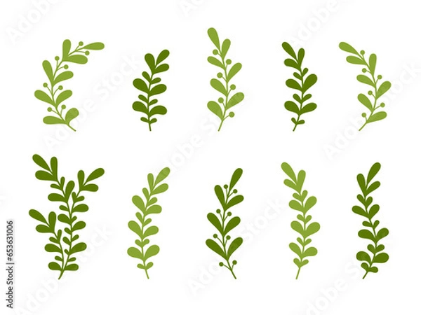 Obraz Set of floral abstract design elements. leaves, branches. Vector illustration. 