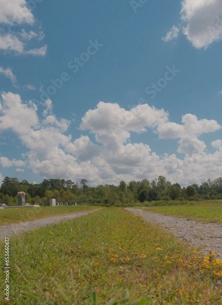 Obraz landscape with a road
