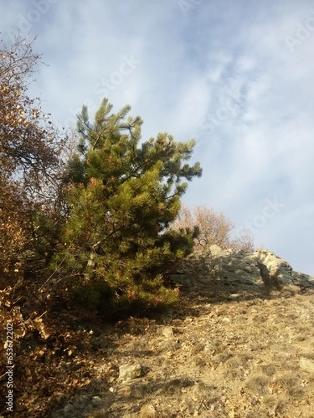 Obraz mountain nature sky blue snow cloud