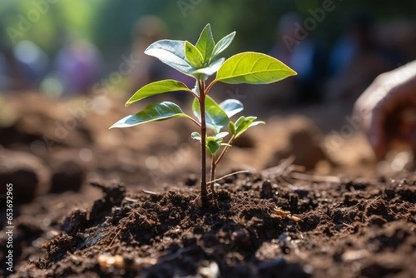 Fototapeta Tree sapling being planted to symbolize hope for the environment, Generative AI