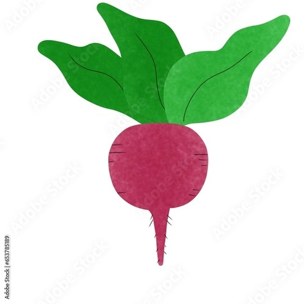 Fototapeta vegetable