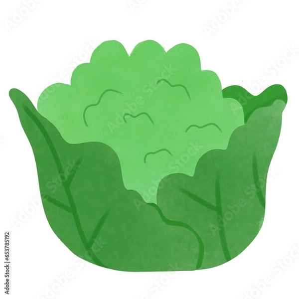 Fototapeta vegetable