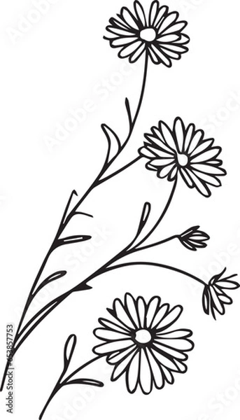 Fototapeta small black aster tattoo, aster flower drawing, aster flower drawing tattoo, drawing aster September flower tattoo, aster September birth flower tattoo