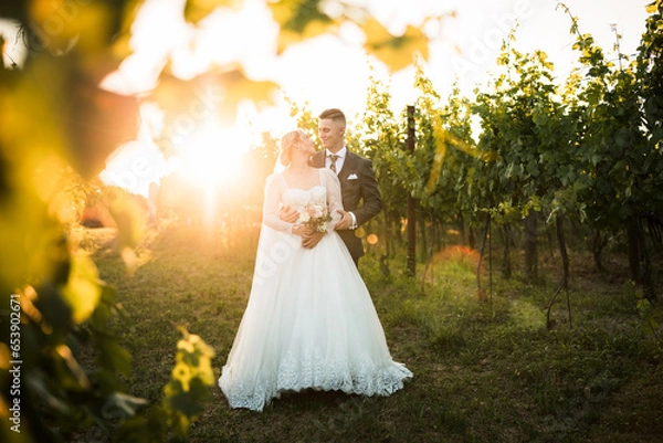 Fototapeta wedding photography, a bride in a beautiful white dress and a stylish groom are taking photos in the middle of a vineyard, surrounded by greenery. the sun rays around them, the newlyweds are holding 