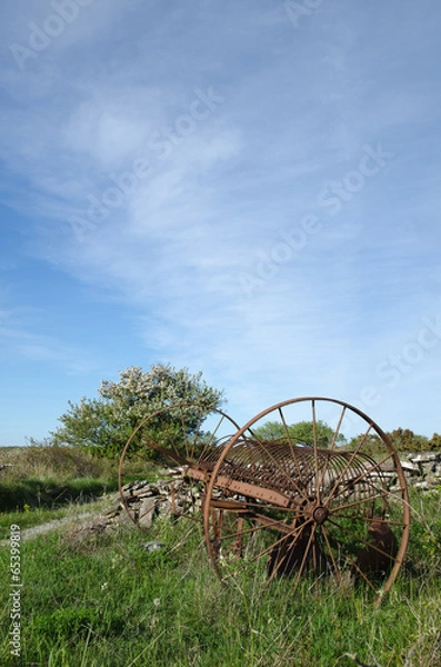 Fototapeta Abandoned old horse rake in a landscape at springtime