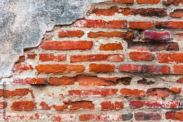 Obraz The red brown brick wall serves as the background.