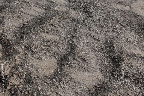 Fototapeta Weathered granite in close-up. Texture, pattern, background. Stanthorpe Granite - Granite Belt of Queensland, Australia