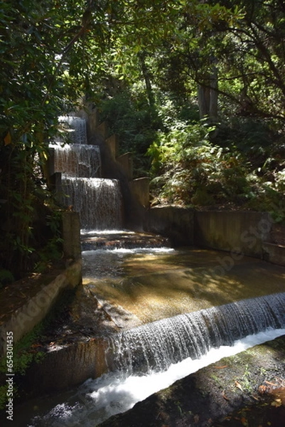Obraz Madera levada  Fajã do Rodrigues