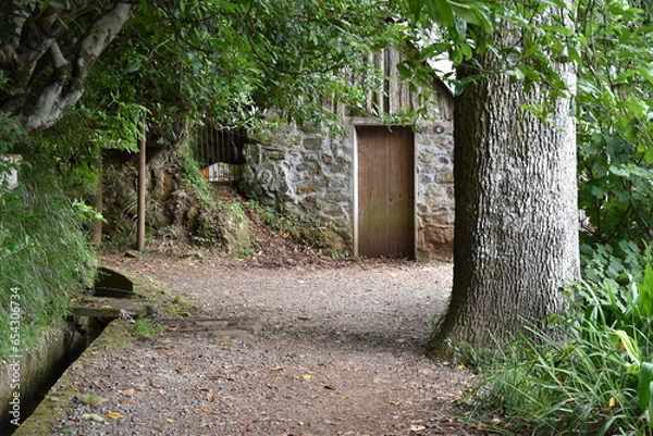 Obraz Madera Balcoes