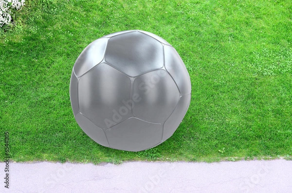 Obraz Fussball - 3d Render