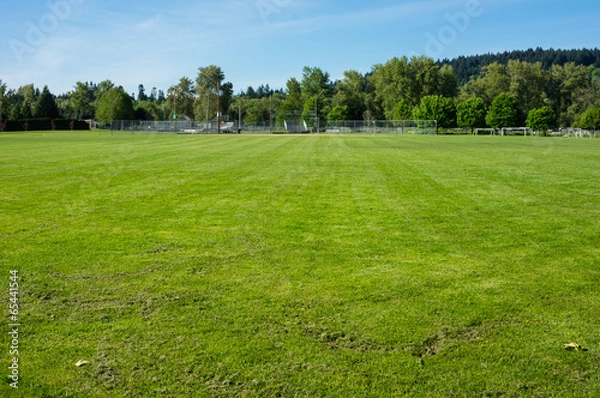 Obraz Freshly mown grass or turf