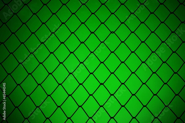 Fototapeta metallic net with green background