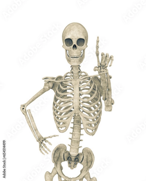 Fototapeta skeleton is pressing a virtual button in front view